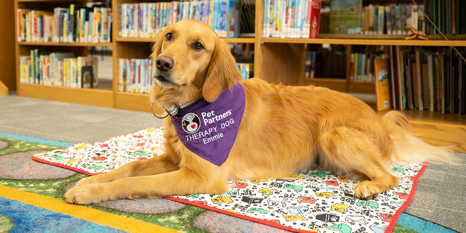 therapy dog at a children's reading event