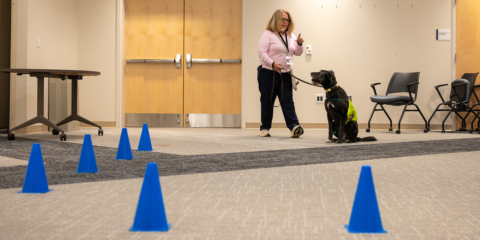 dog navigating cones during pet therapy training